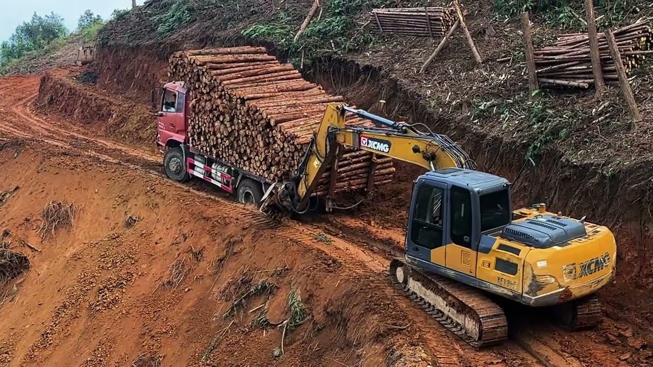 Pulling wood in the mountains is not easy with every step