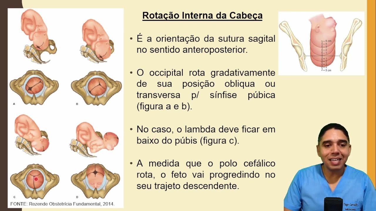 Mecanismo do Trabalho de Parto
