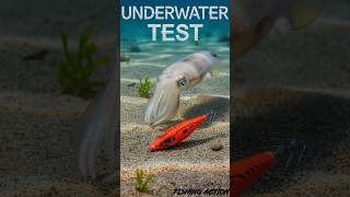 🌊👁️🚀🦑  UNDERWATER TEST DTD Projectile best long cast egi eging #eging  #egi #fishing #pesca #squid