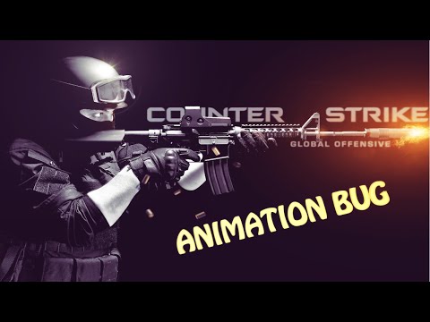 CS:GO Animation bug