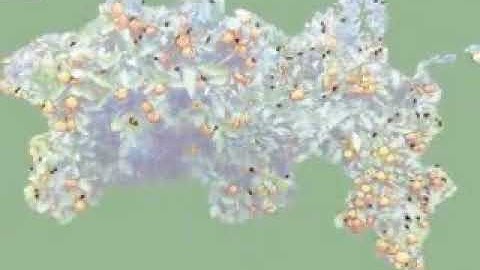 An Estimation in Citrus Orchards Via Fruit Detection and Copunting Using Image Processing