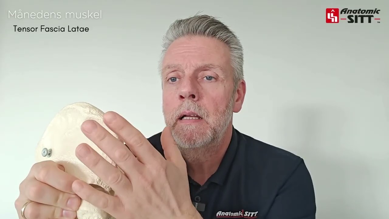 Månedens muskel er Tensor fascia Latae