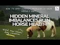 Hidden Mineral Imbalances Ruin Horse Health