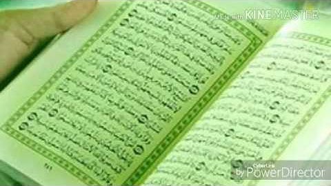 سورة البقرة من الآية 1 إلى 16 بصوت الشيخ ماهر المعيقلي