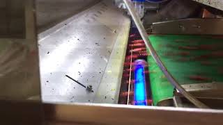 Angelon Coffee Cherry Color Sorting machine coffee processing
