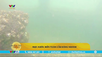 Mực nước biển toàn cầu dâng nhanh gấp đôi so với thập niên trước | VTVWDB