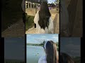 ترند وعيونه بلوه