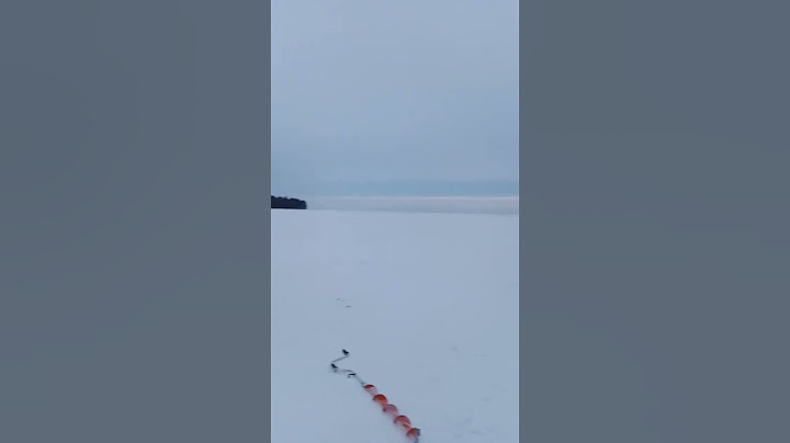 жопа полная