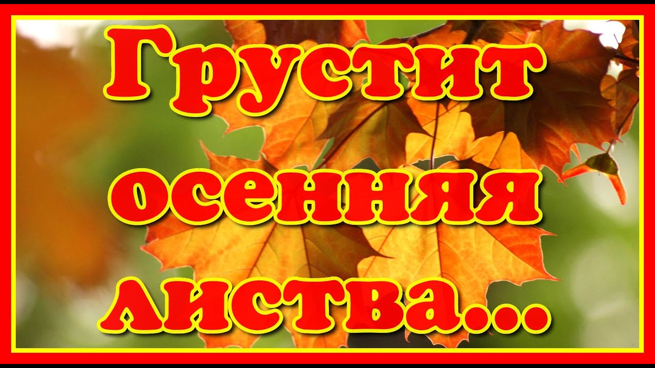 Грустит кленовая листва слова. Кленовая листва лариса гордъера. Кленовый лист. Лариса гордъера грустит кленовая листва! remix. Грустит кленовая листва слова.