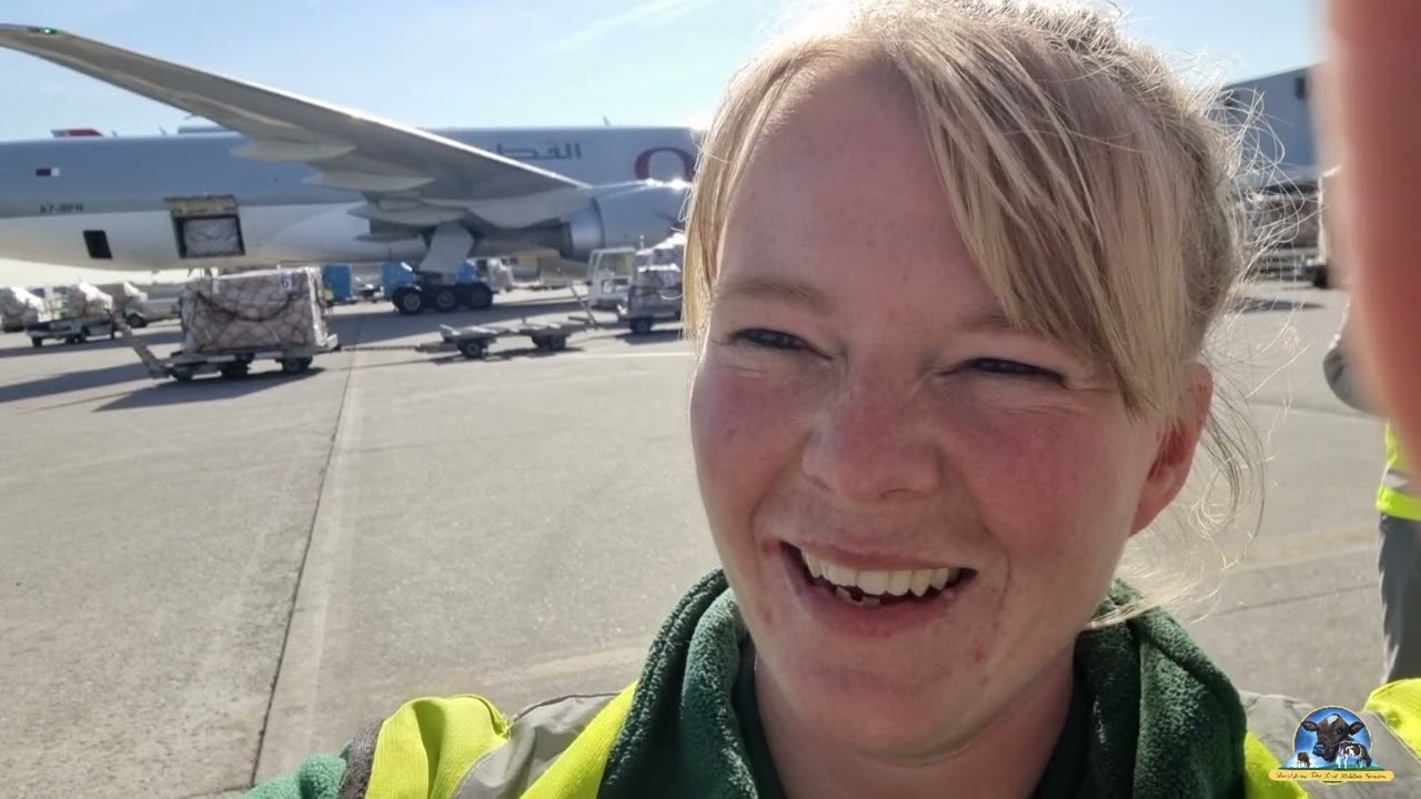 Panda Holsteins 2022