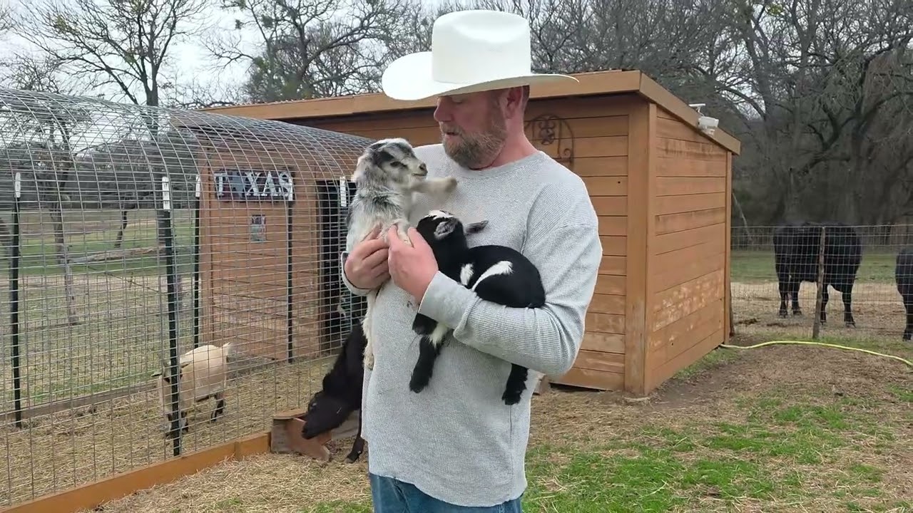 A VALENTINES DAY SURPRISE!