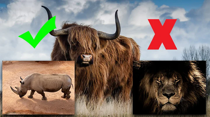 13 Tips on How to Survive Wild Animal Attacks