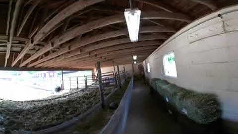 Stop 8 - Walking through dairy barn