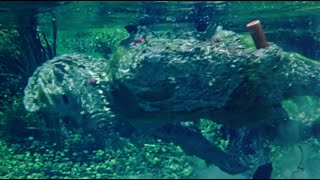 Zaat 1971 Swamp Monster