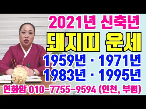 (2021년.신축년.돼지띠.신년운세) 🐖 돼지는  좋것다! 귀인으로 재물ㆍ금전ㆍ명예가 나는구나~ 인천.부평.연화암.010.7755.9594