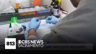 How genetics might play a factor in impulsive behavior