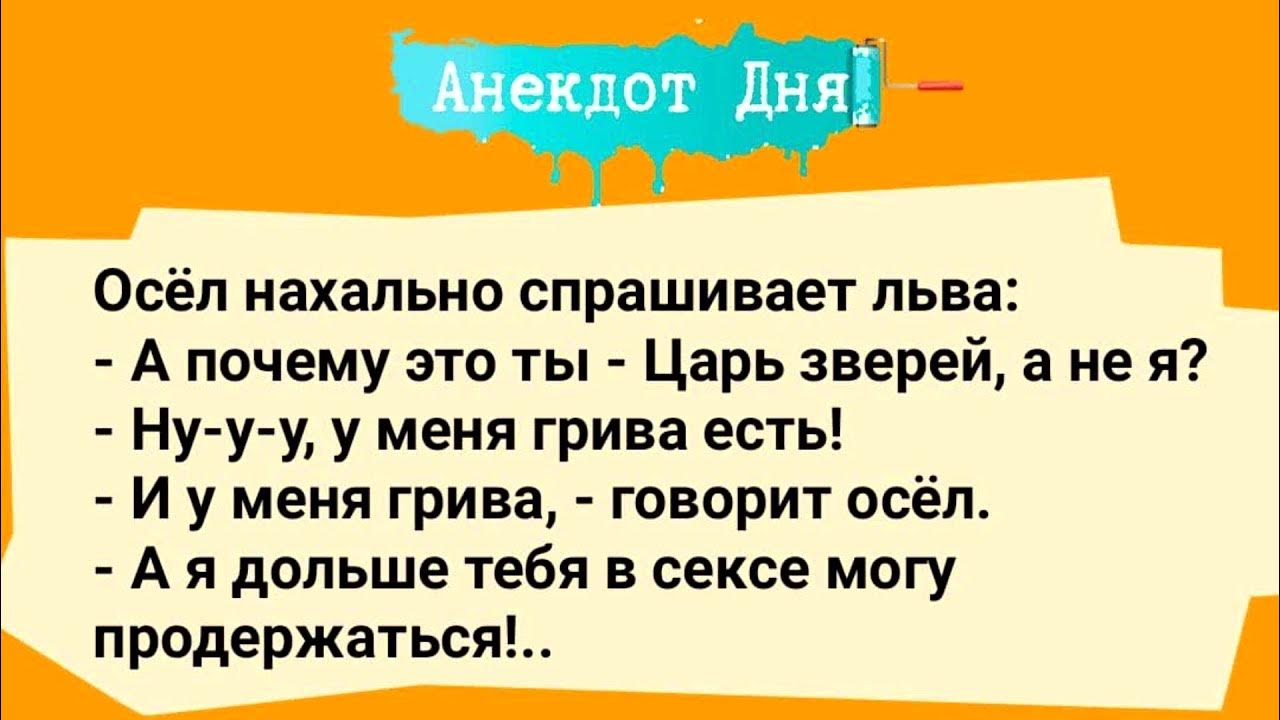 анекдот про льва. анекдоты про короля. анекдот. анекдоты про царя. анекдот про царя.