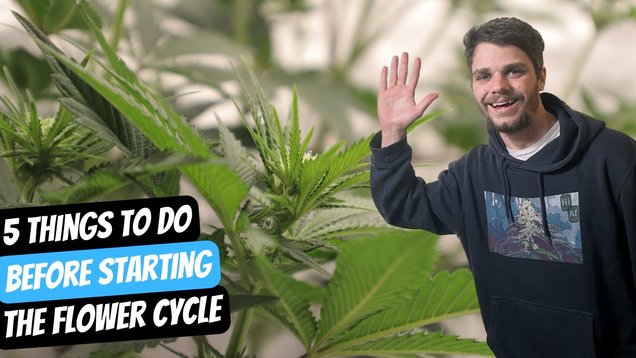 DON'T Flower Your Plants UNTIL You've Done THESE 5 Things! YouTube