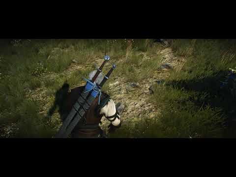 The Witcher 3