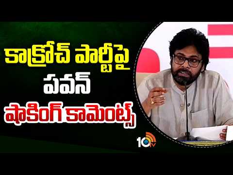 కాక్రోచ్ పార్టీపై పవన్  షాకింగ్ కామెంట్స్ |Pawan Kalyan On Cockroach Janata Party - 10TVNEWSTELUGU