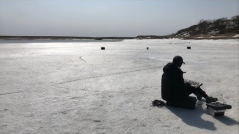 memu field studio - oikamanaito - emiko miura - march 2021