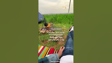 تلاوت زیبای سوره آل عمران با ترجمه فارسی