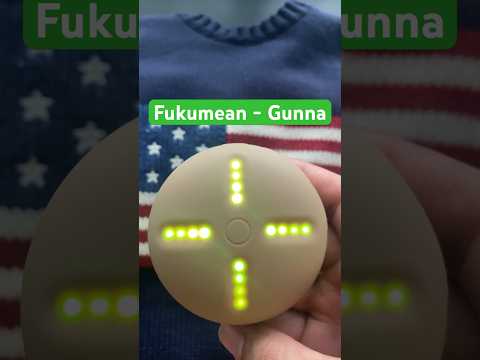 Fukumean – Gunna