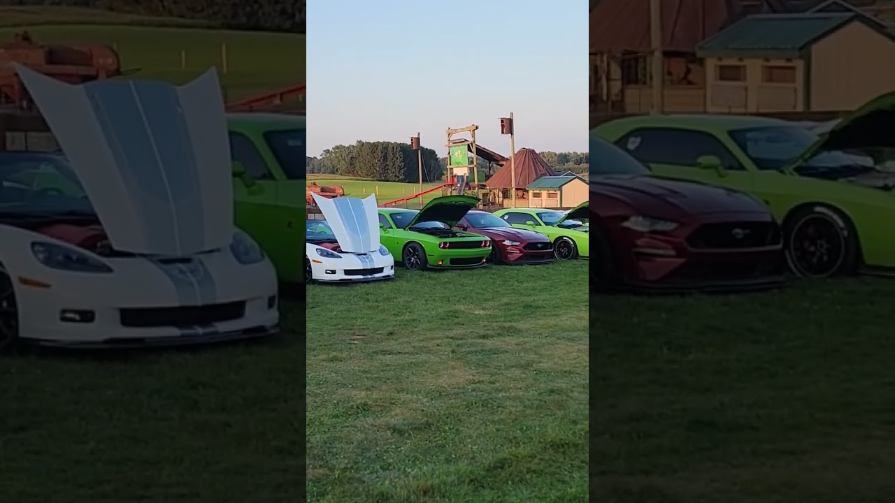 When you bein yourself, you find where you fit in. 