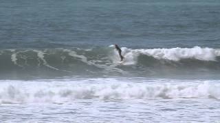 easter cornwall 2014