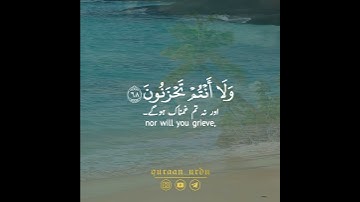 Close friends, that Day, will be enemies|سورة الزخرف|مؤيد المزين|Surah Az Zukhruf|Moid Al Mazin