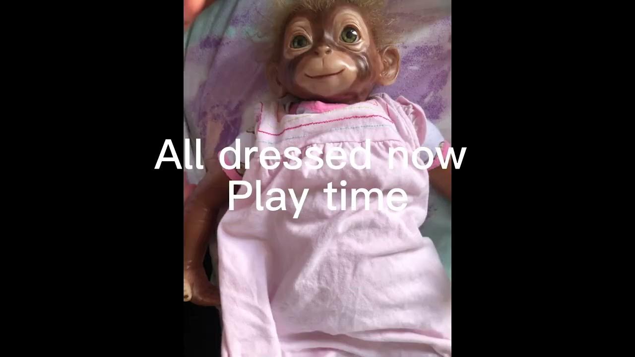 This is my pet monkey YouTube