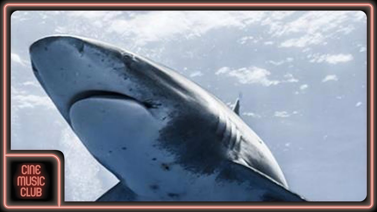 Obejrzyj Demusmaker - Humanity (extrait de la musique du film "Les Requins de la Colère") w YouTube Obejrzyj Demusmaker - Humanity (extrait de la musique du film "Les Requins de la Colère") w YouTube