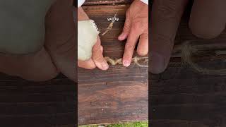 Thumbnail for How did the Victorians waterproof wooden ships?
