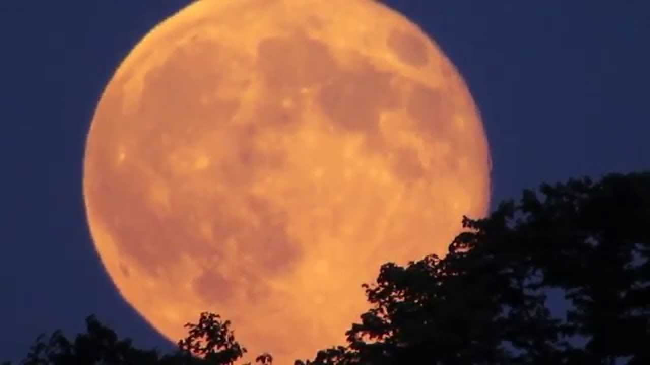 Super Moon July 2014