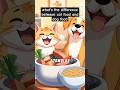 what's the difference between cat food and dog food