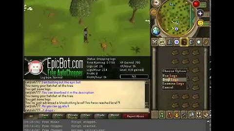 5/14/2013 WORKING RUNESCAPE BOT WORKS ON RS2007  THIS IS A JAR FILE NOT EXE READ BELOW