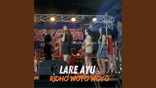 Lare Ayu