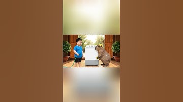 Capy và anh sửa máy giặt giúp bà và cái kết #capybara #capybarayeunoi #ongbavaboss #vuive