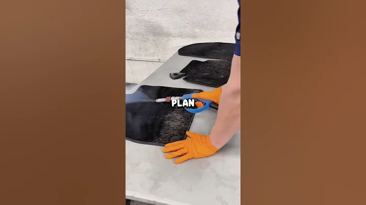 My sister was sent to boarding school” but never get back, my parents don’t to tell me why