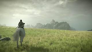 Shadow Of The Colossus - Live Stream Ps5