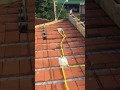 23 de março de 2017