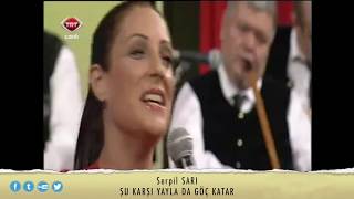 Serpil SARI - Şu Karşı Yayla da Göç Katar Katar Resimi