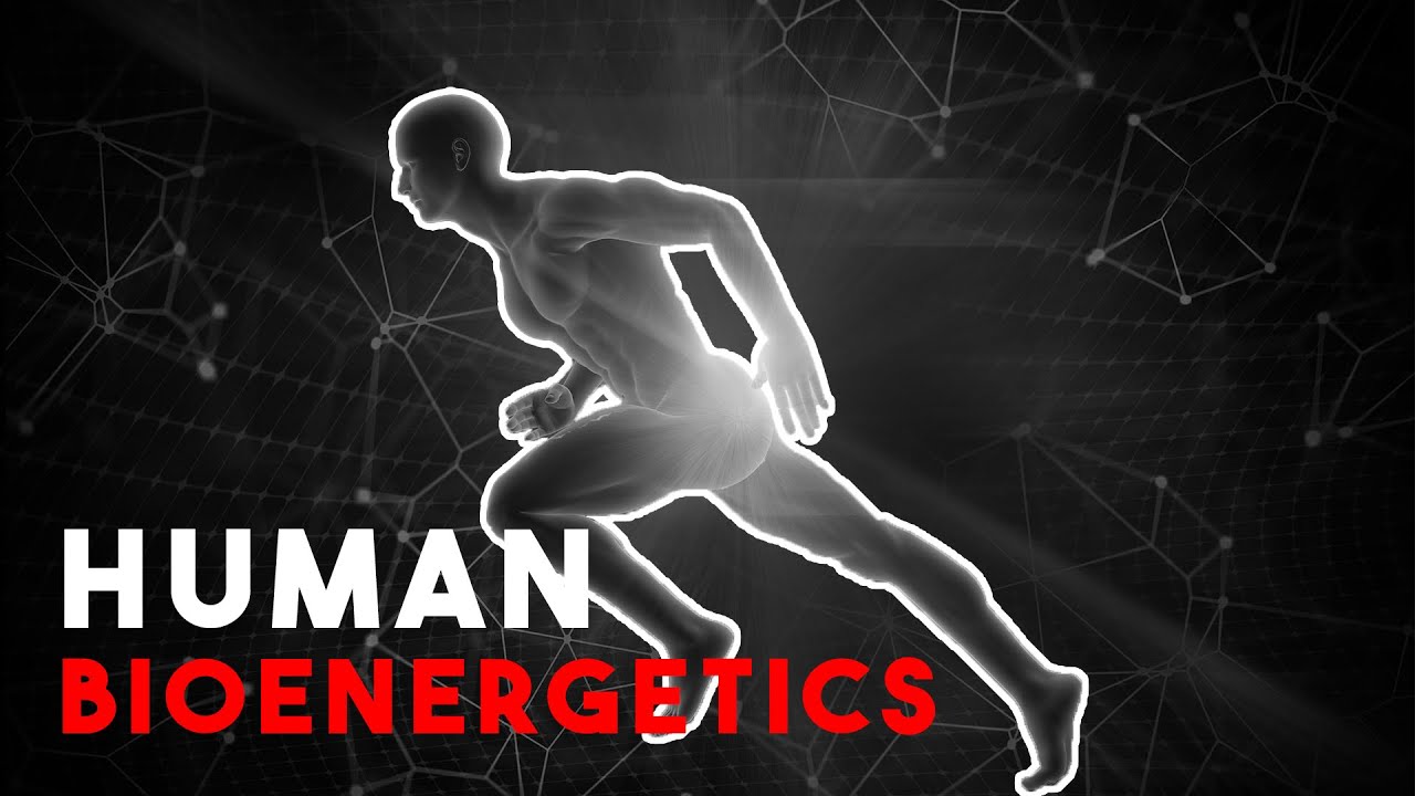 Exploring the Bioenergetics of the Human Body: Understanding Energy Production | Movement Mechanics