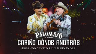 Rosendo Cantú Ft Raúl Hernández / Palomazo Norteño : Cariño Donde Andarás ( Video Oficial )