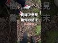 【通報】心霊体験…鹿に導かれた樹海で…薬袋の香りが語る現場…
