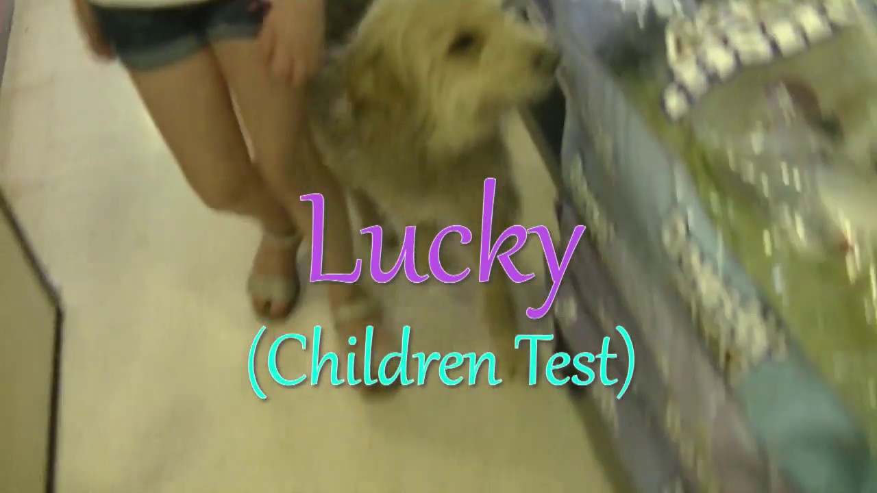 Test Lucky LUCKY CHILDREN TEST - YouTube
