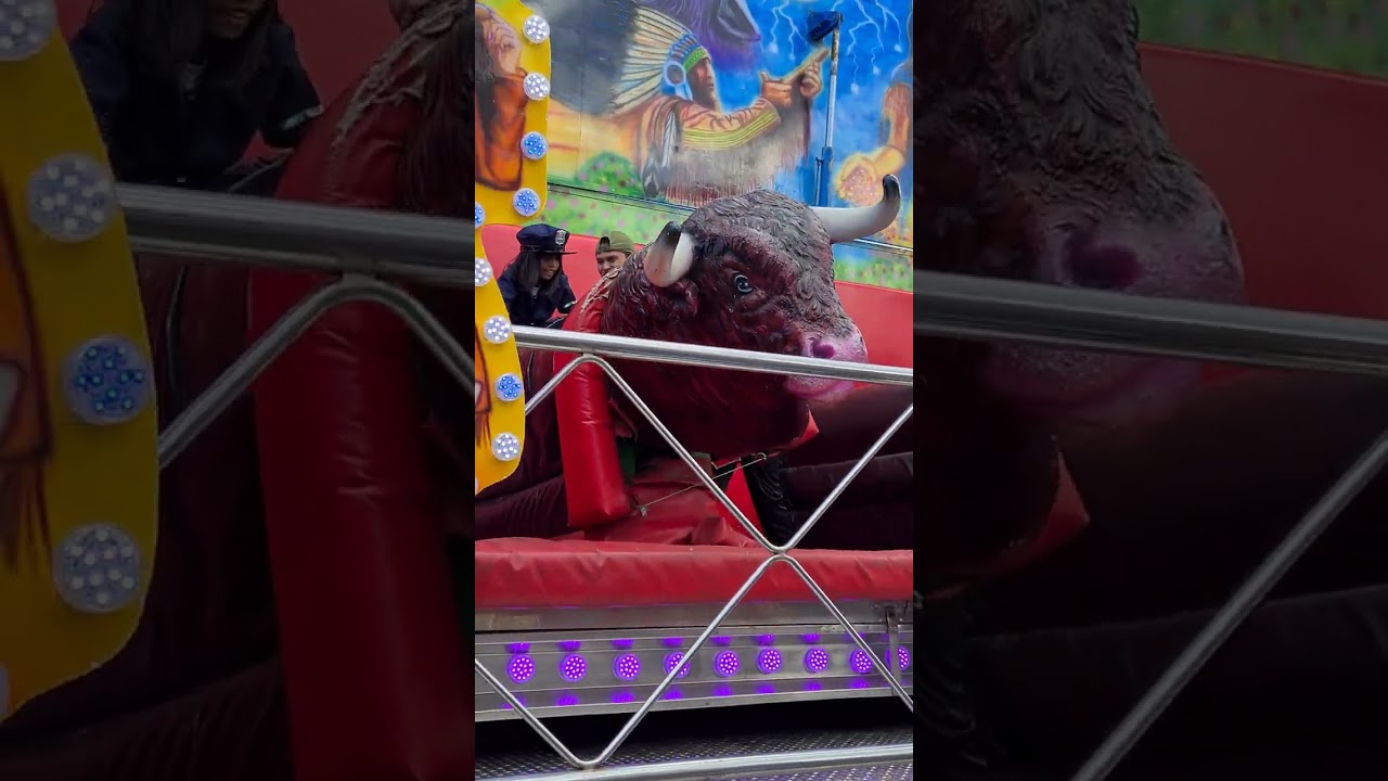 Los Toros en Tenerife