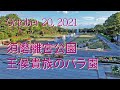 須磨離宮公園「王侯貴族のバラ園」2021年10月20日