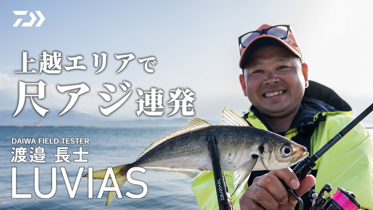 ダイワ ルビアス 1003 渓流 エリア トラウト アジング 管釣り プレッソ