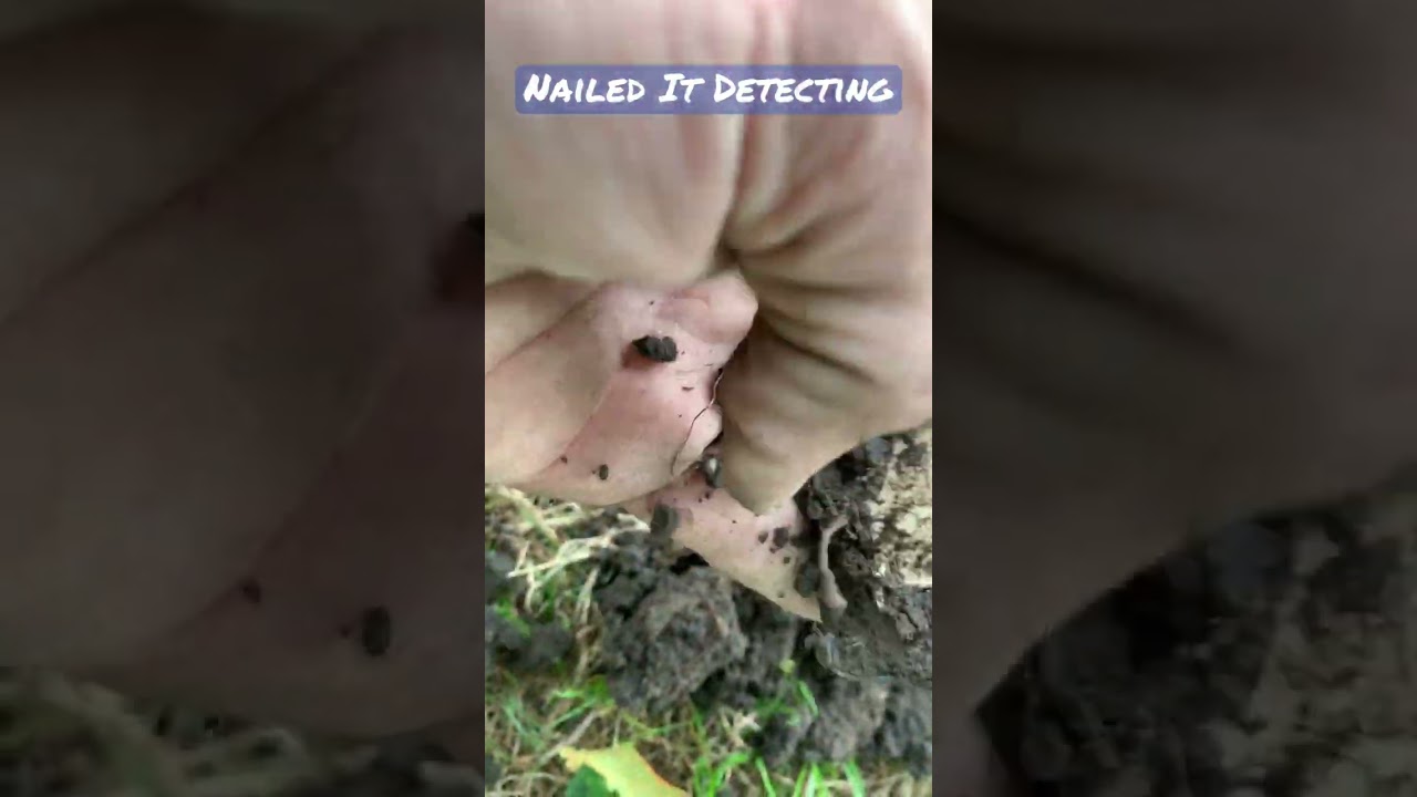 Metal Detecting a Bucket lister at a park!!!